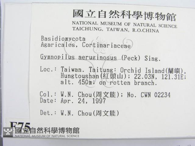 登錄號:F0007566藏品圖，第2張