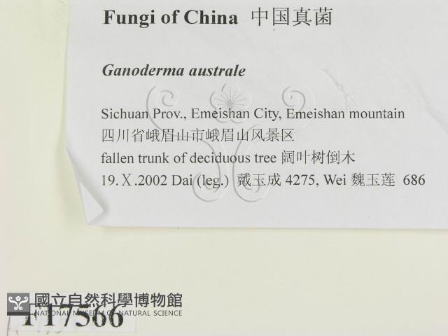 登錄號:F0017566藏品圖，第2張