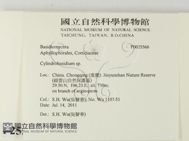 登錄號:F0025566藏品圖，第2張