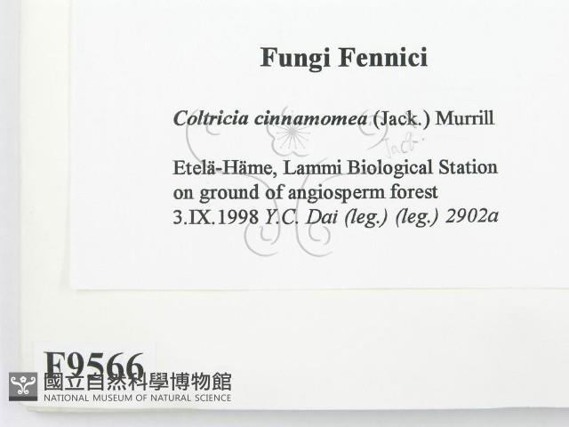 登錄號:F0009566藏品圖，第2張