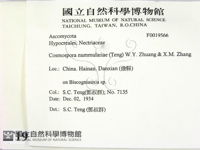 登錄號:F0019566藏品圖，第2張