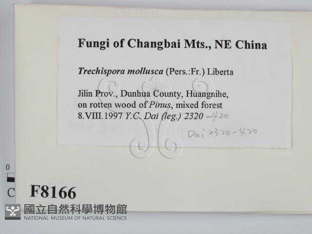 登錄號:F0008166藏品圖，第2張