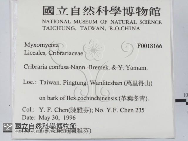 登錄號:F0018166藏品圖，第2張