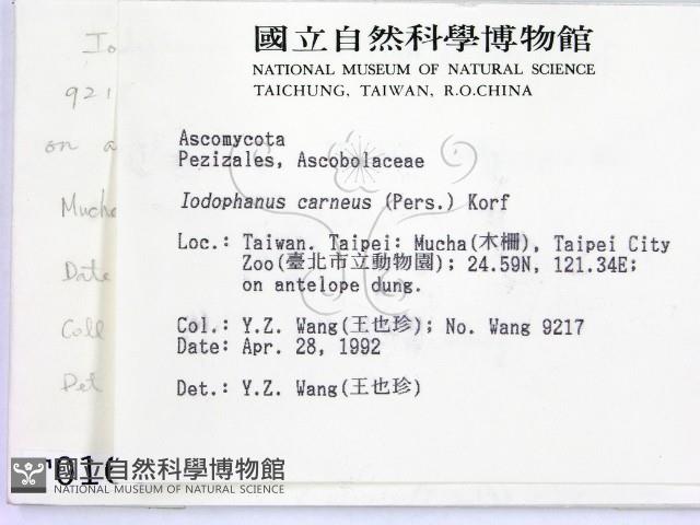 登錄號:F0000166藏品圖，第2張