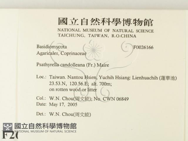 登錄號:F0026166藏品圖，第2張