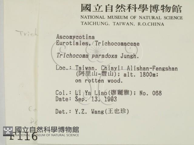 登錄號:F0001166藏品圖，第2張