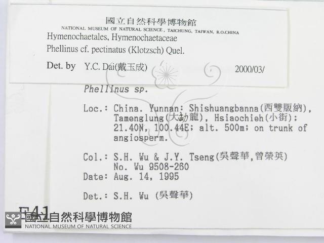 登錄號:F0004166藏品圖，第2張