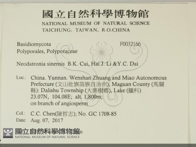 登錄號:F0032166藏品圖，第2張