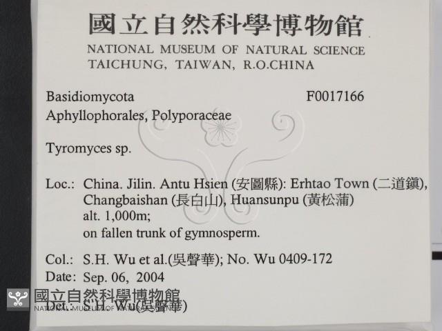 登錄號:F0017166藏品圖，第2張