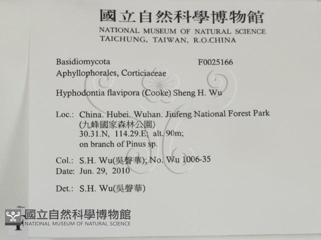 登錄號:F0025166藏品圖，第2張