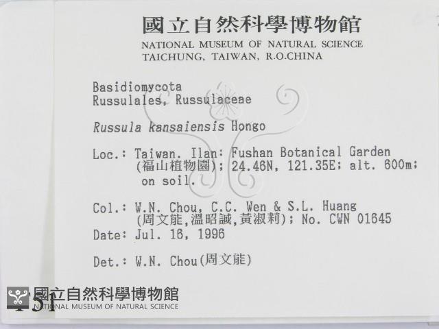 登錄號:F0005166藏品圖，第2張