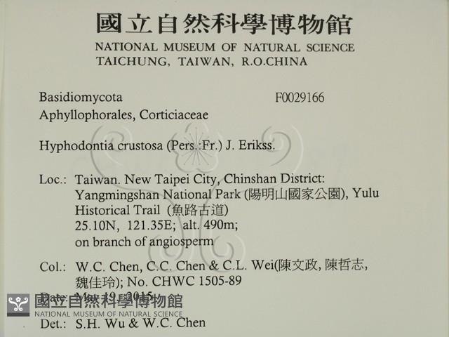 登錄號:F0029166藏品圖，第2張