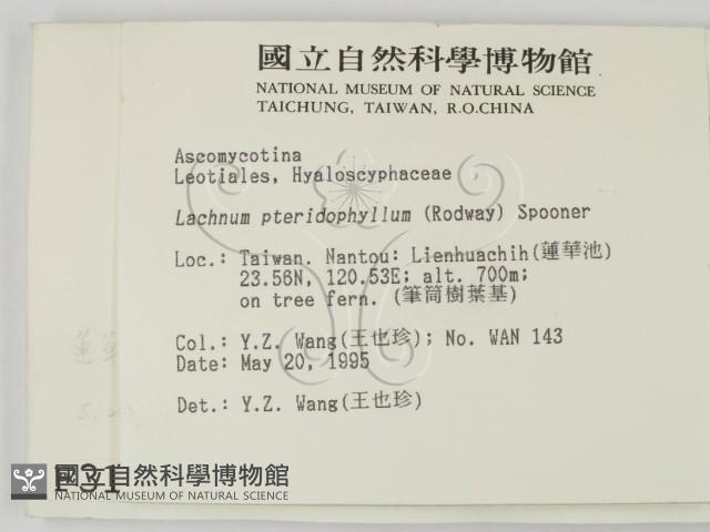 登錄號:F0003166藏品圖，第2張