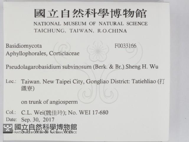 登錄號:F0033166藏品圖，第2張