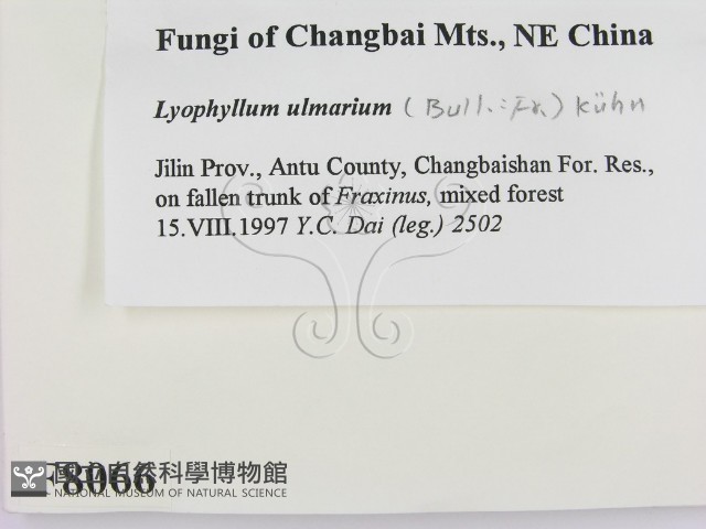 登錄號:F0008066藏品圖，第2張