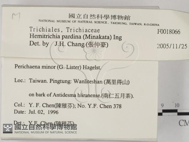 登錄號:F0018066藏品圖，第2張