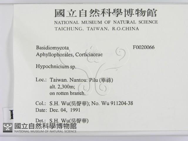 登錄號:F0020066藏品圖，第2張