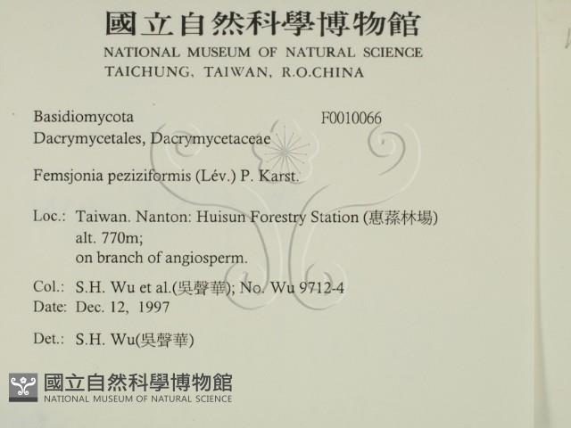 登錄號:F0010066藏品圖，第2張