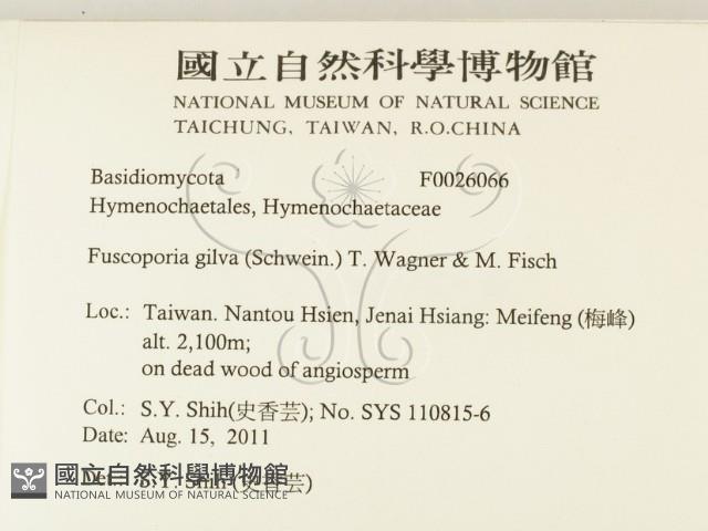 登錄號:F0026066藏品圖，第2張