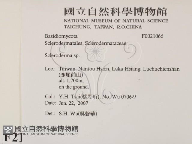 登錄號:F0021066藏品圖，第2張