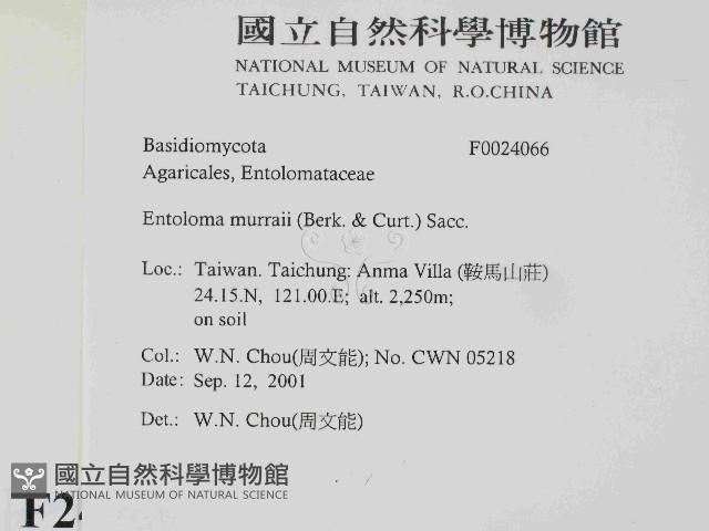 登錄號:F0024066藏品圖，第2張