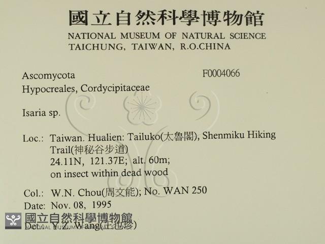 登錄號:F0004066藏品圖，第2張