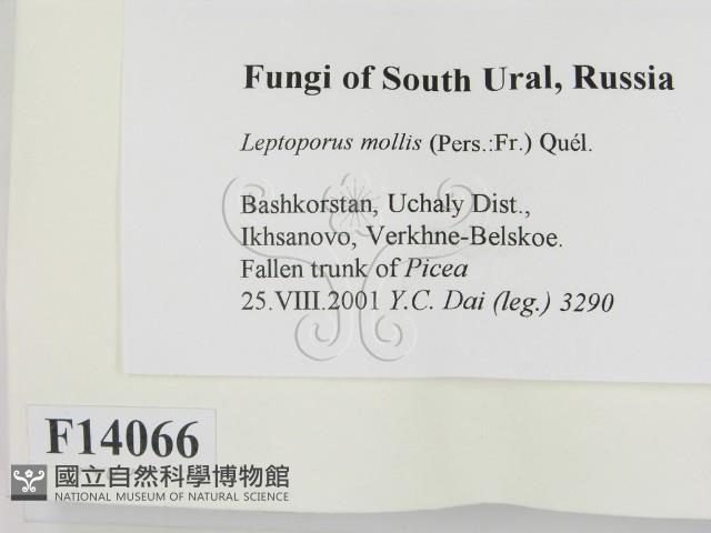 登錄號:F0014066藏品圖，第2張