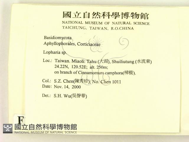 登錄號:F0012066藏品圖，第2張
