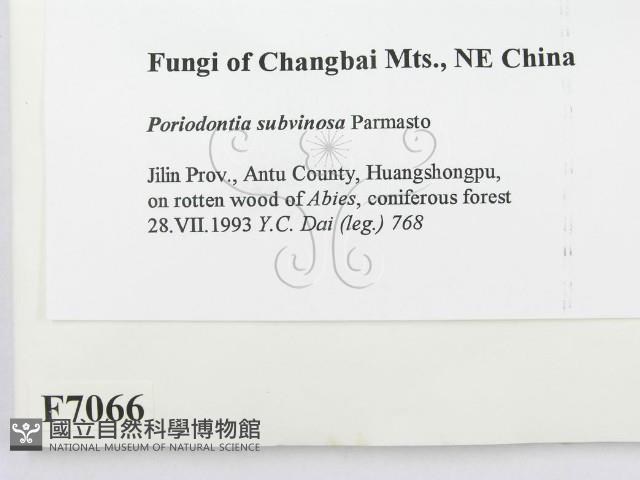 登錄號:F0007066藏品圖，第2張