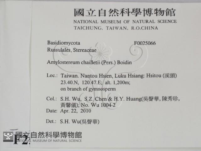 登錄號:F0025066藏品圖，第2張