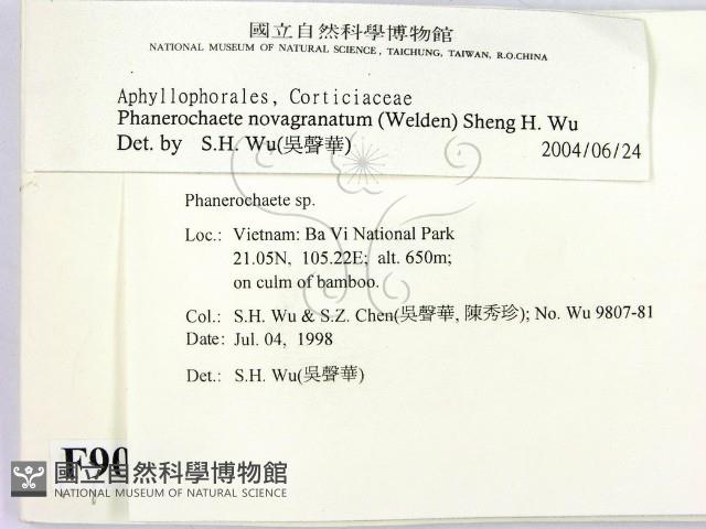 登錄號:F0009066藏品圖，第2張