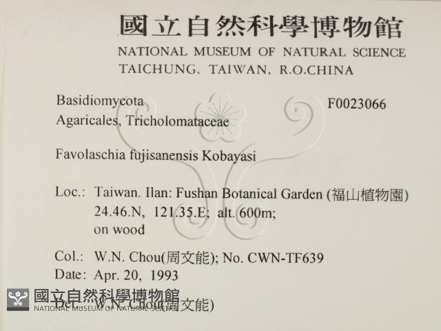 登錄號:F0023066藏品圖，第2張