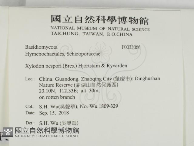 登錄號:F0033066藏品圖，第2張