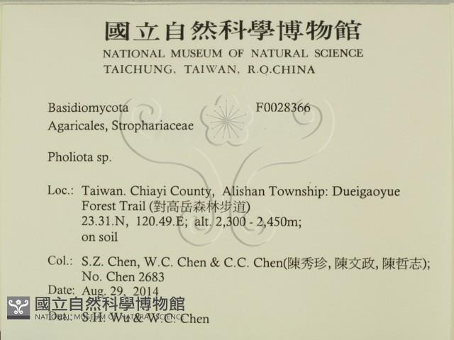 登錄號:F0028366藏品圖，第2張