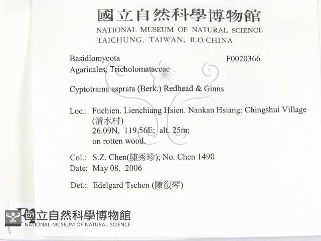 登錄號:F0020366藏品圖，第2張