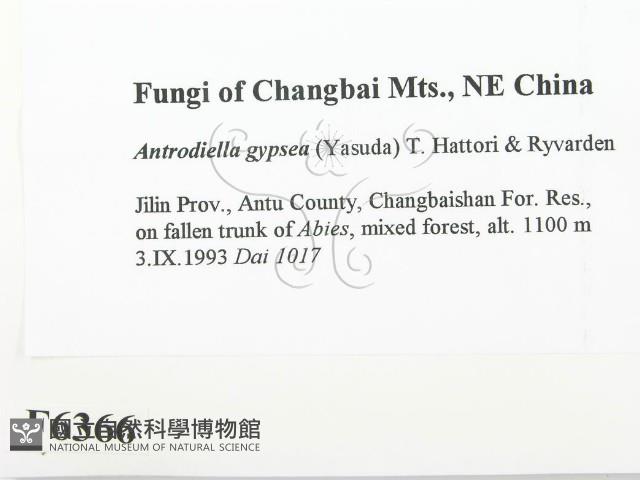 登錄號:F0006366藏品圖，第2張