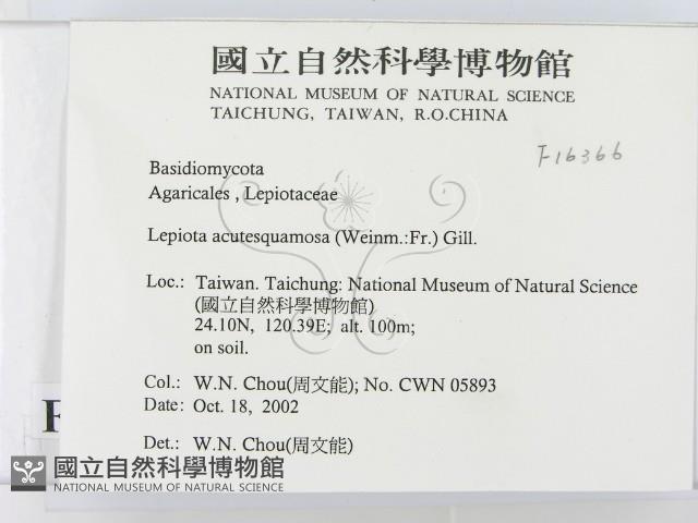 登錄號:F0016366藏品圖，第2張