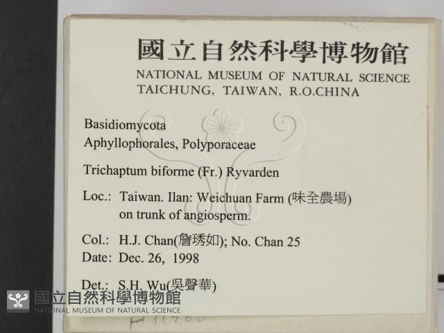 登錄號:F0011366藏品圖，第2張