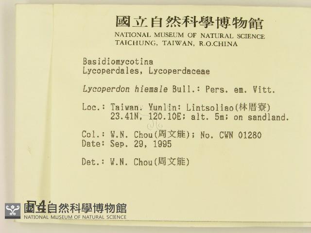 登錄號:F0004366藏品圖，第2張