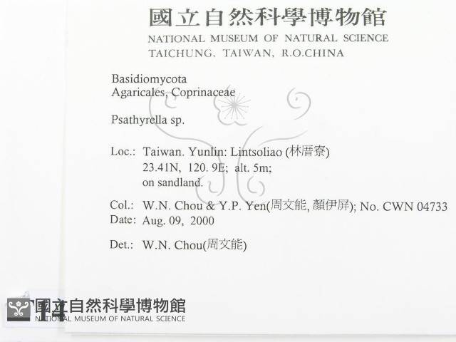 登錄號:F0014366藏品圖，第2張