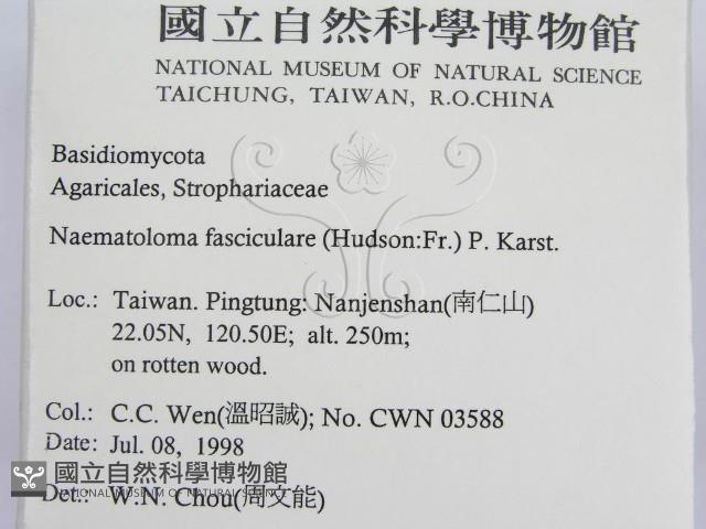 登錄號:F0012366藏品圖，第2張