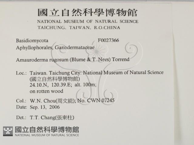 登錄號:F0027366藏品圖，第2張