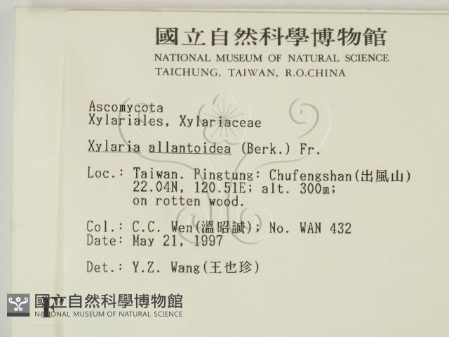 登錄號:F0007366藏品圖，第2張