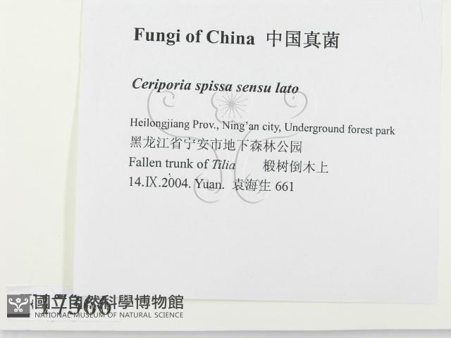 登錄號:F0017366藏品圖，第2張