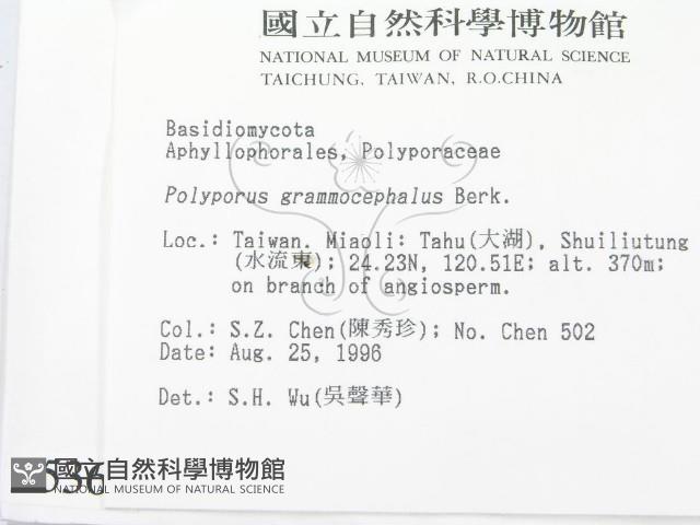 登錄號:F0005366藏品圖，第2張