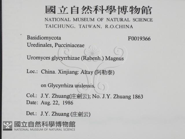 登錄號:F0019366藏品圖，第2張