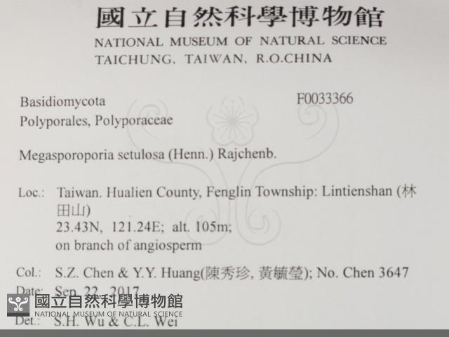 登錄號:F0033366藏品圖，第2張
