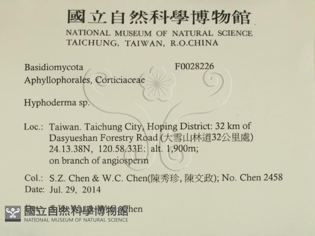 絲皮菌屬藏品圖，第2張