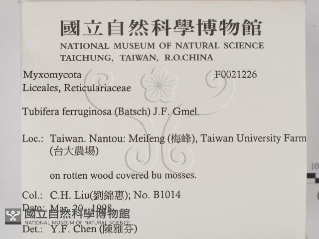 登錄號:F0021226藏品圖，第2張