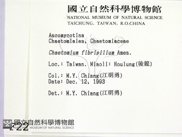 登錄號:F0002226藏品圖，第2張